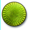 Эмаль Schauer светлая зелёная 0137